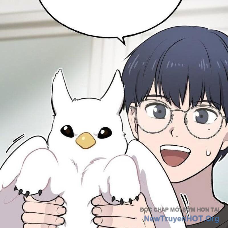 Chào Nhé, Griffin Mắt Tròn! Chap 1 - Next Chap 2
