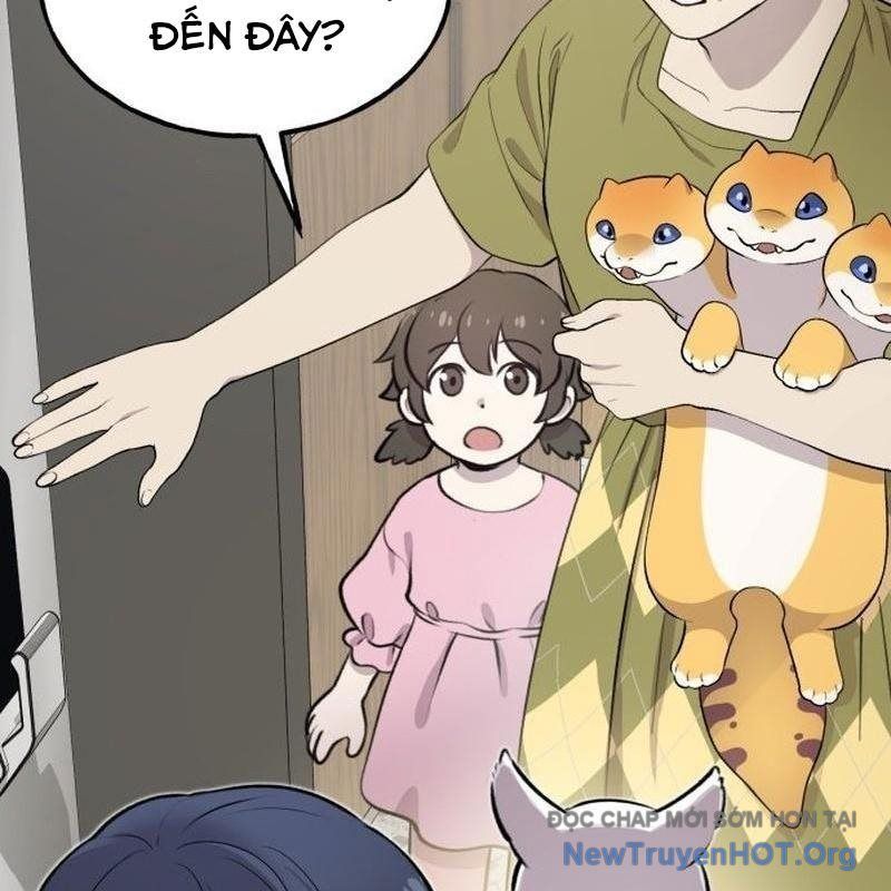 Chào Nhé, Griffin Mắt Tròn! Chap 1 - Next Chap 2