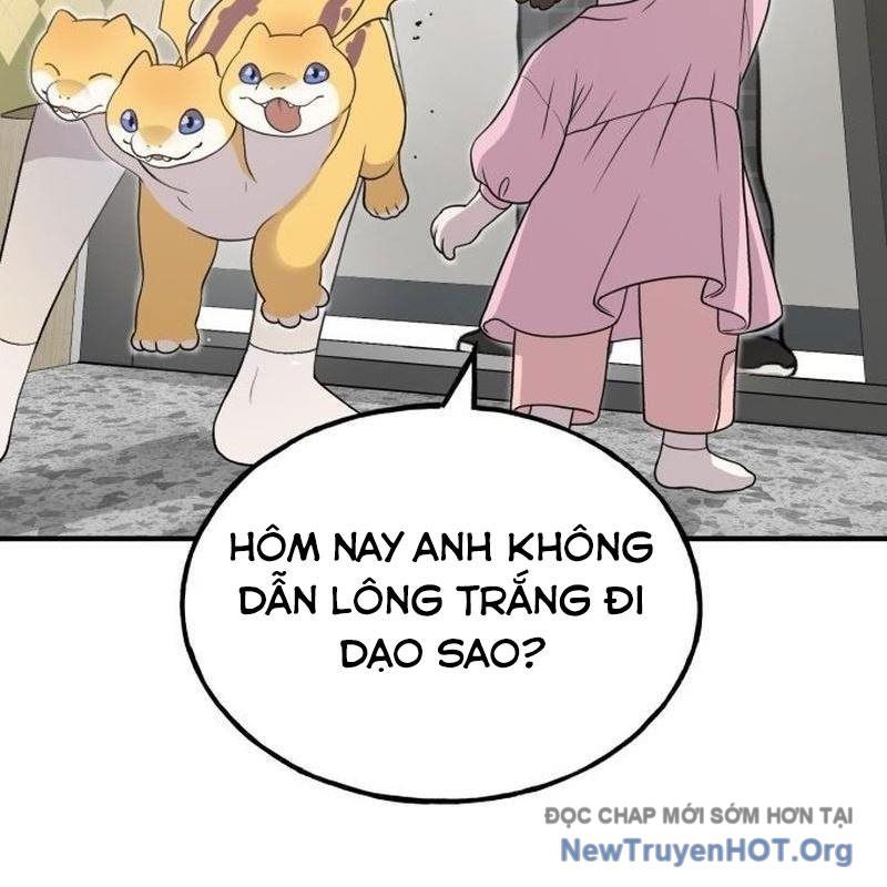Chào Nhé, Griffin Mắt Tròn! Chap 1 - Next Chap 2