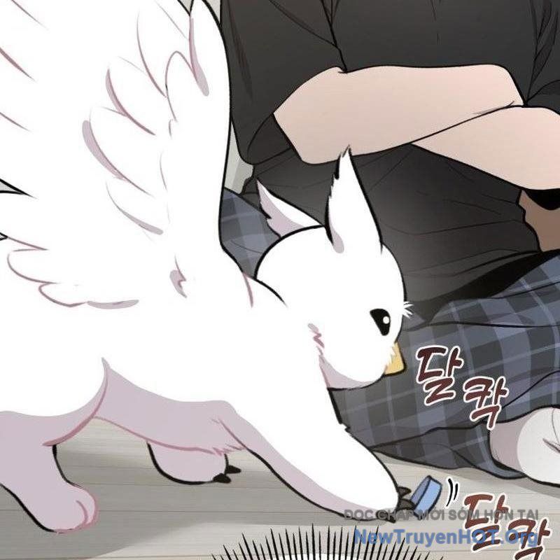 Chào Nhé, Griffin Mắt Tròn! Chap 1 - Next Chap 2
