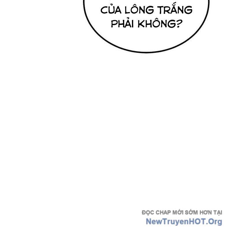 Chào Nhé, Griffin Mắt Tròn! Chap 1 - Next Chap 2