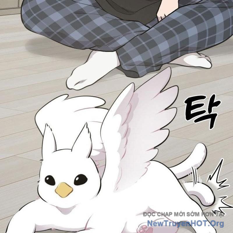 Chào Nhé, Griffin Mắt Tròn! Chap 1 - Next Chap 2