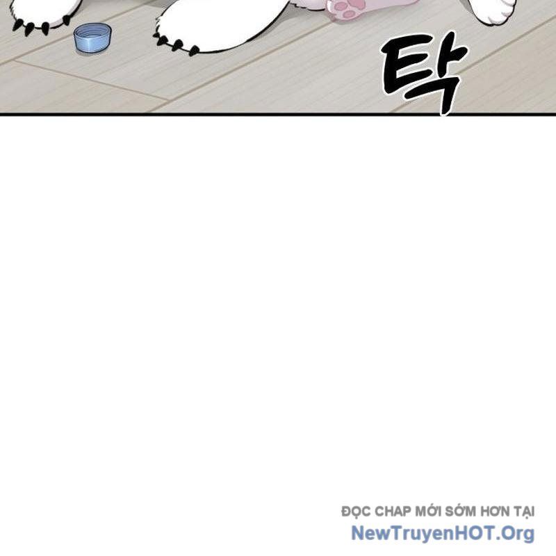 Chào Nhé, Griffin Mắt Tròn! Chap 1 - Next Chap 2