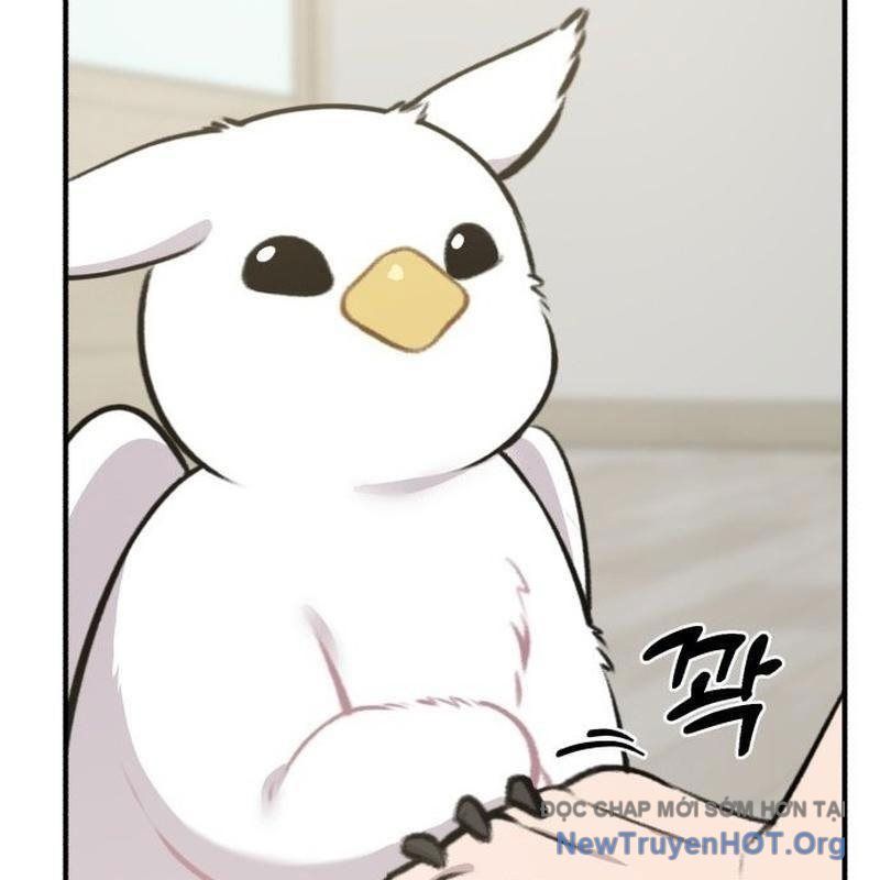 Chào Nhé, Griffin Mắt Tròn! Chap 1 - Next Chap 2