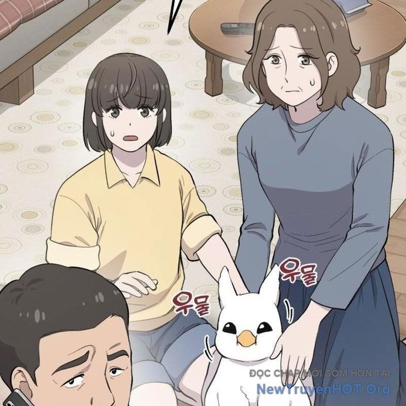 Chào Nhé, Griffin Mắt Tròn! Chap 1 - Next Chap 2