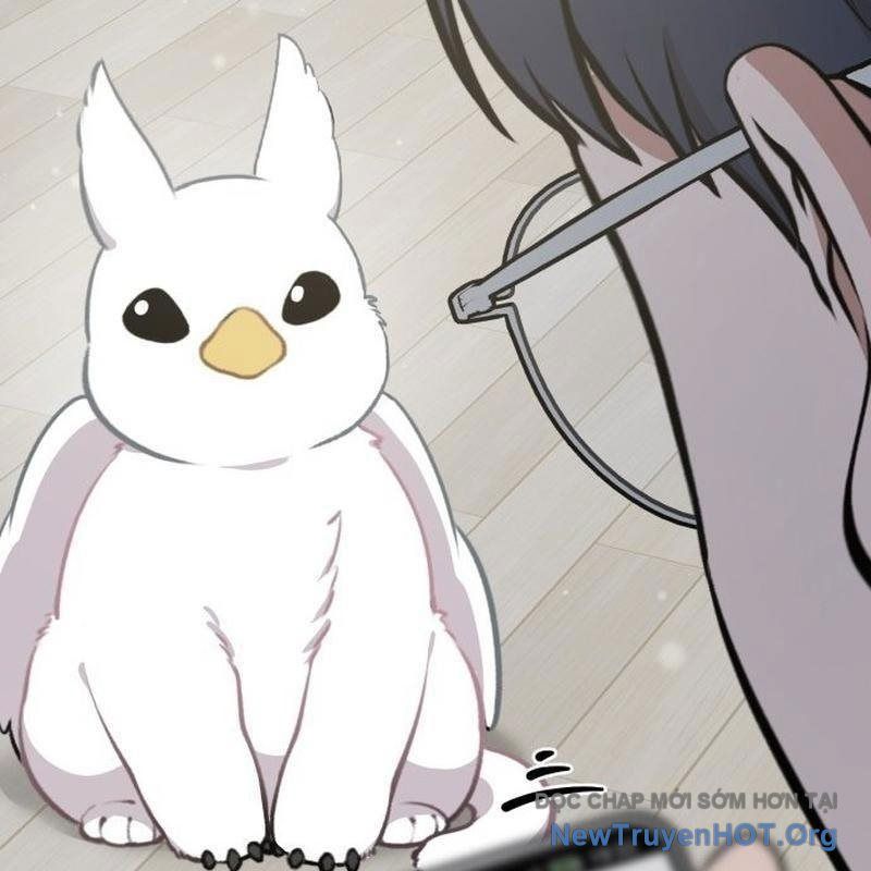 Chào Nhé, Griffin Mắt Tròn! Chap 1 - Next Chap 2