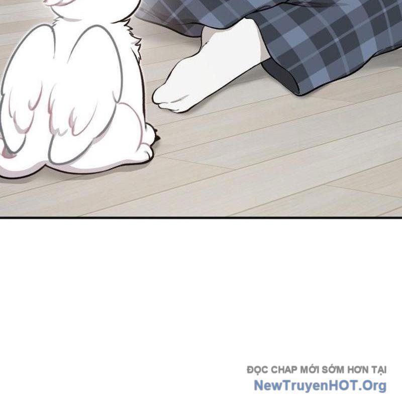 Chào Nhé, Griffin Mắt Tròn! Chap 1 - Next Chap 2