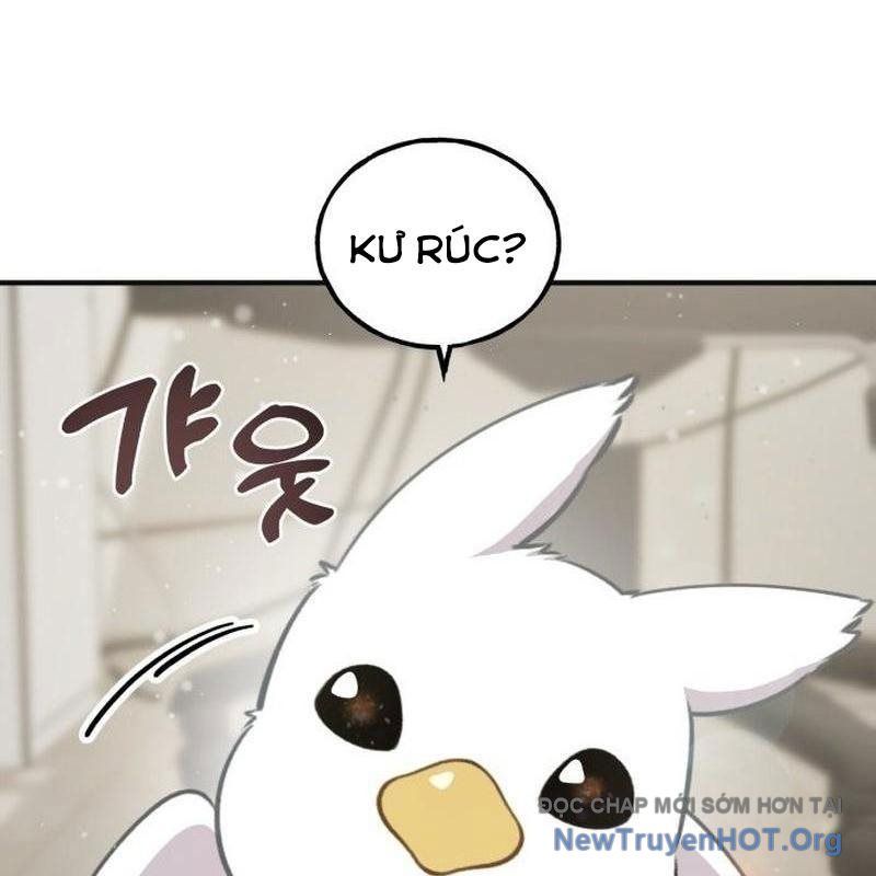 Chào Nhé, Griffin Mắt Tròn! Chap 1 - Next Chap 2