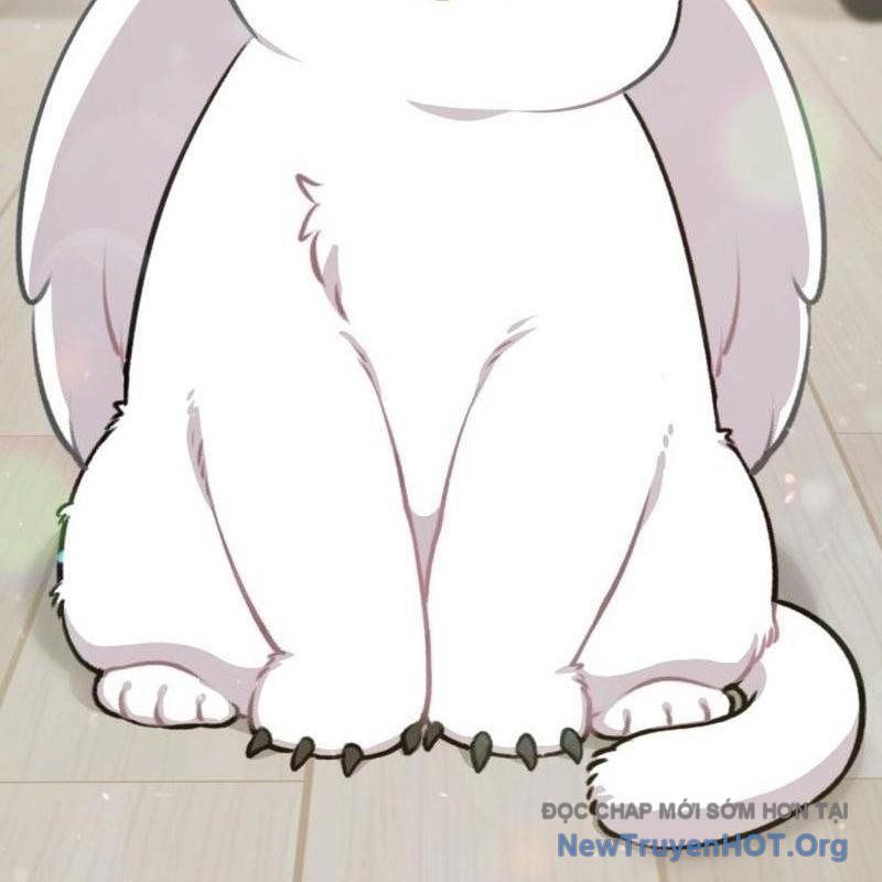 Chào Nhé, Griffin Mắt Tròn! Chap 1 - Next Chap 2