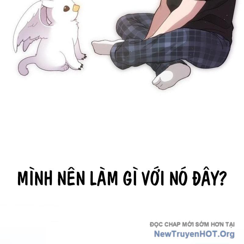 Chào Nhé, Griffin Mắt Tròn! Chap 1 - Next Chap 2