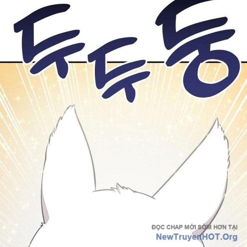 Chào Nhé, Griffin Mắt Tròn! Chap 1 - Next Chap 2
