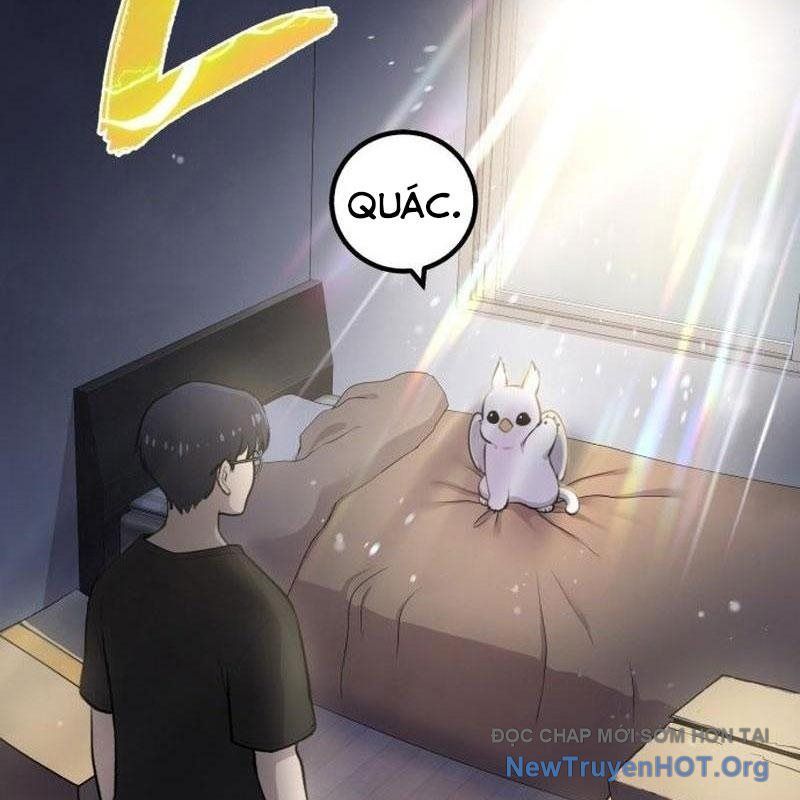 Chào Nhé, Griffin Mắt Tròn! Chap 1 - Next Chap 2