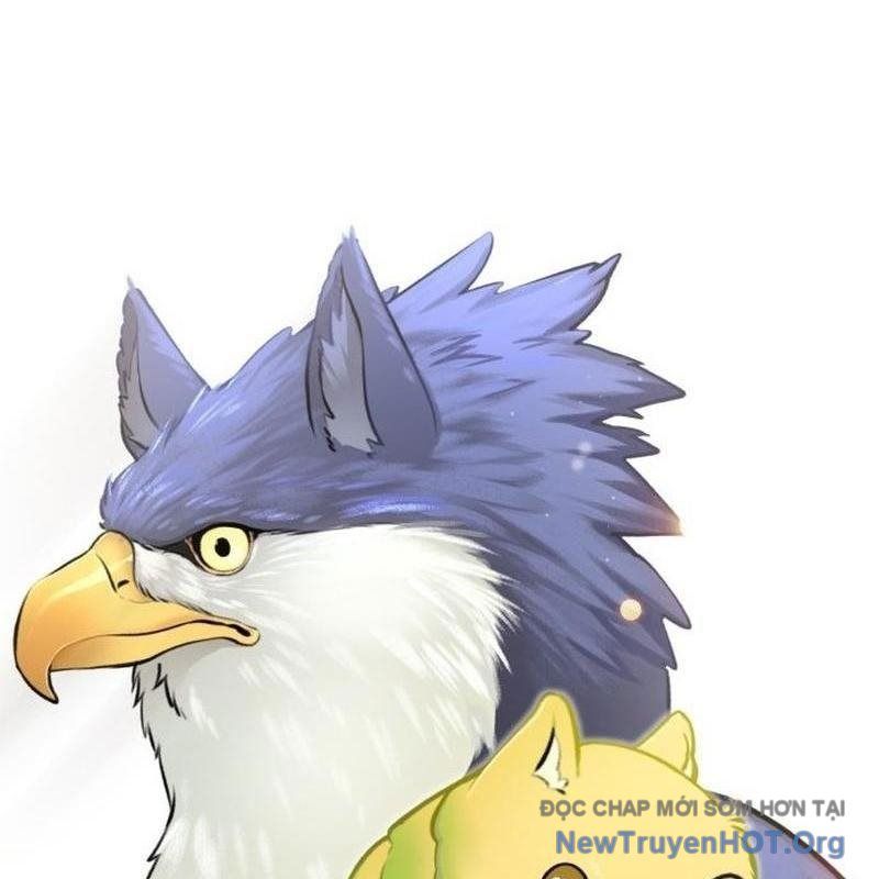 Chào Nhé, Griffin Mắt Tròn! Chap 1 - Next Chap 2