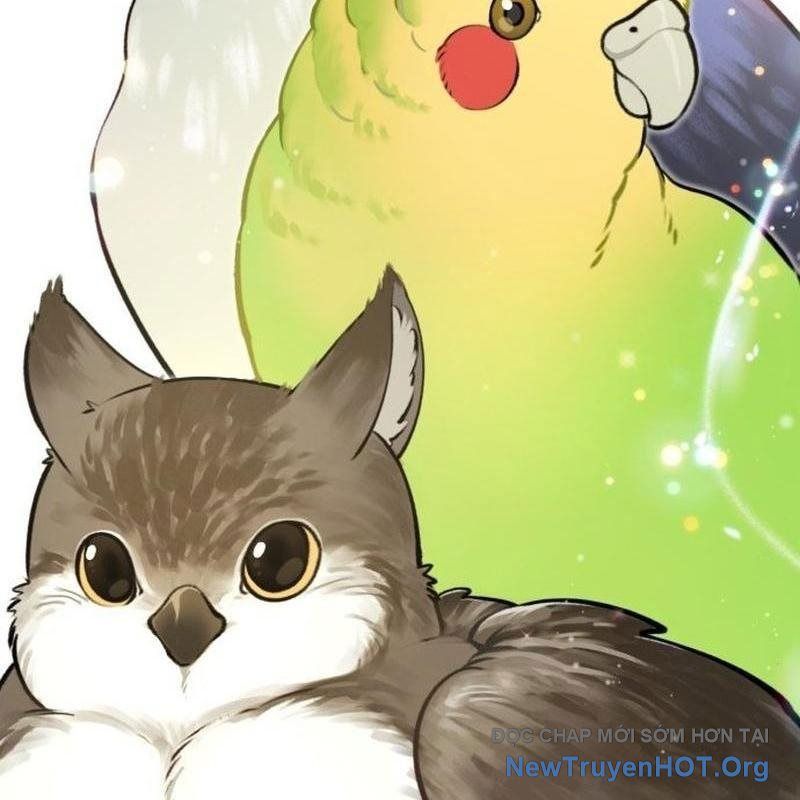 Chào Nhé, Griffin Mắt Tròn! Chap 1 - Next Chap 2