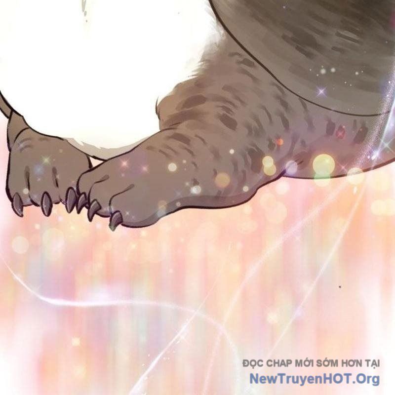 Chào Nhé, Griffin Mắt Tròn! Chap 1 - Next Chap 2