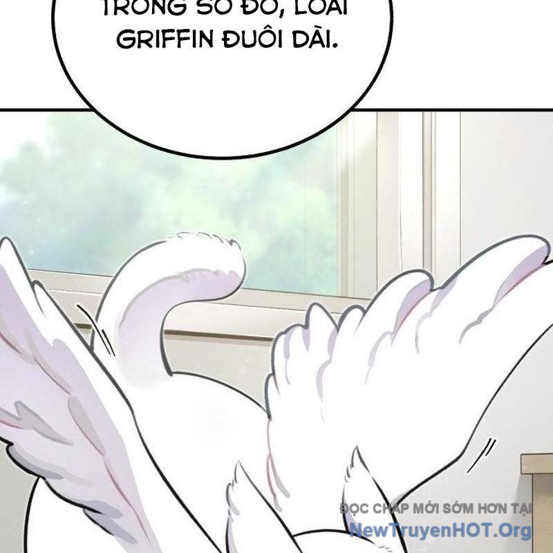 Chào Nhé, Griffin Mắt Tròn! Chap 1 - Next Chap 2