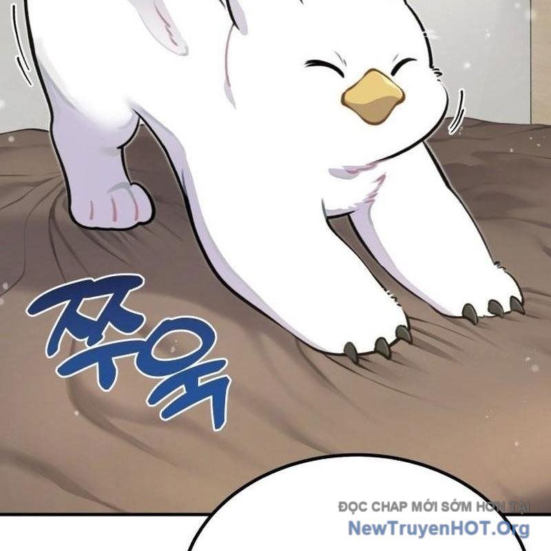 Chào Nhé, Griffin Mắt Tròn! Chap 1 - Next Chap 2