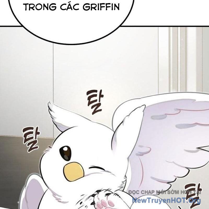 Chào Nhé, Griffin Mắt Tròn! Chap 1 - Next Chap 2