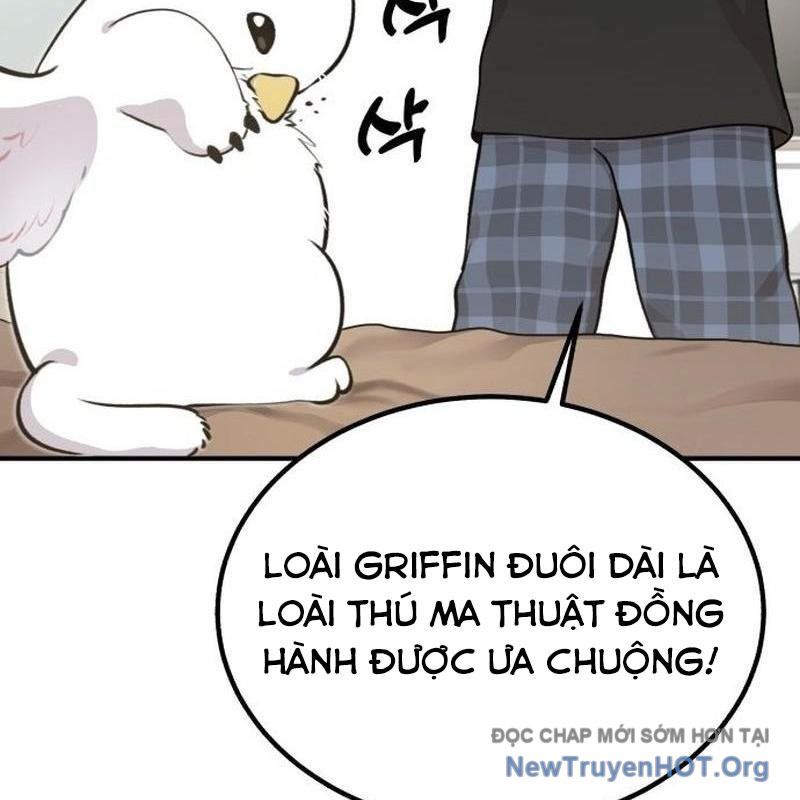 Chào Nhé, Griffin Mắt Tròn! Chap 1 - Next Chap 2