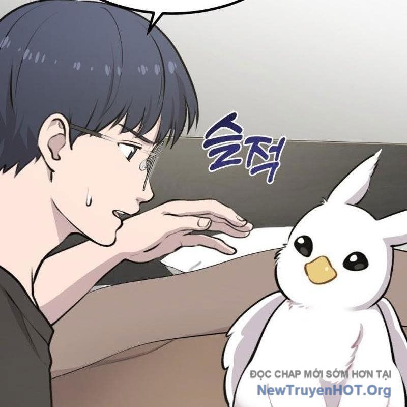 Chào Nhé, Griffin Mắt Tròn! Chap 1 - Next Chap 2