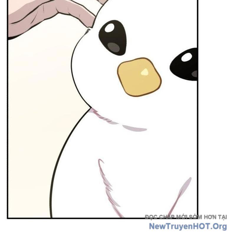 Chào Nhé, Griffin Mắt Tròn! Chap 1 - Next Chap 2
