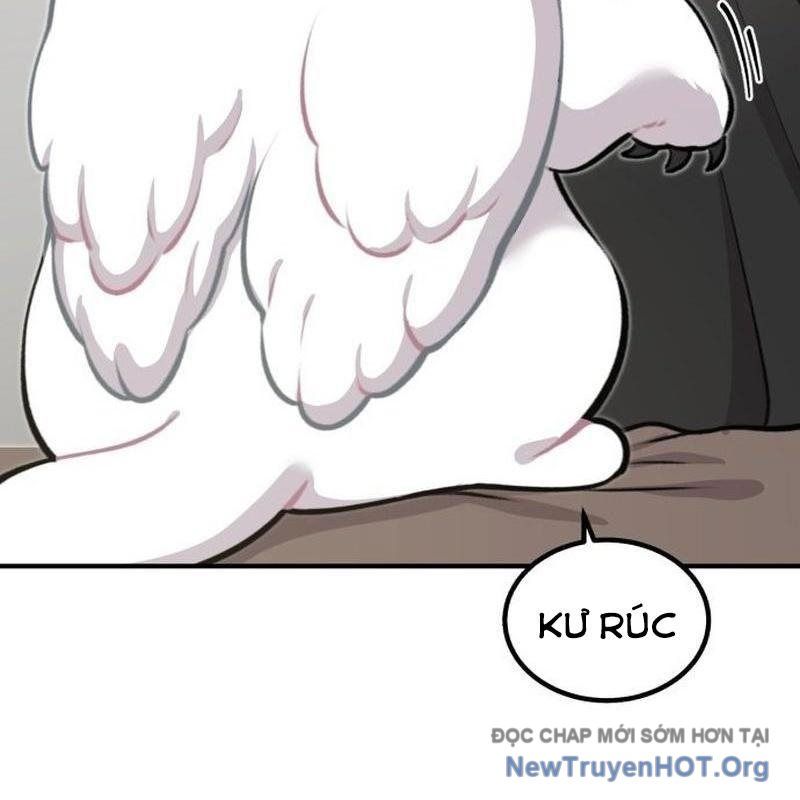 Chào Nhé, Griffin Mắt Tròn! Chap 1 - Next Chap 2