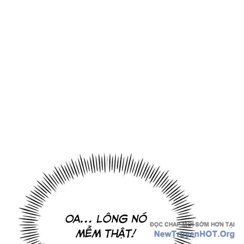 Chào Nhé, Griffin Mắt Tròn! Chap 1 - Next Chap 2