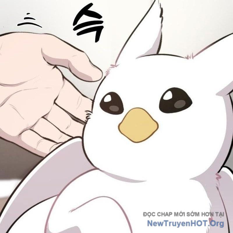 Chào Nhé, Griffin Mắt Tròn! Chap 1 - Next Chap 2