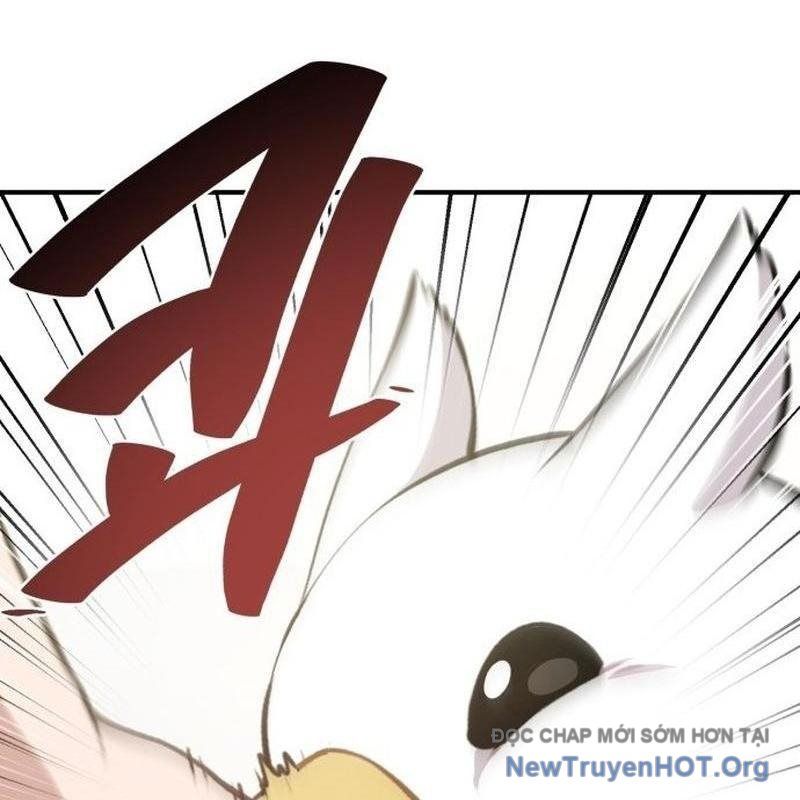 Chào Nhé, Griffin Mắt Tròn! Chap 1 - Next Chap 2
