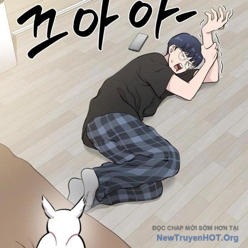 Chào Nhé, Griffin Mắt Tròn! Chap 1 - Next Chap 2