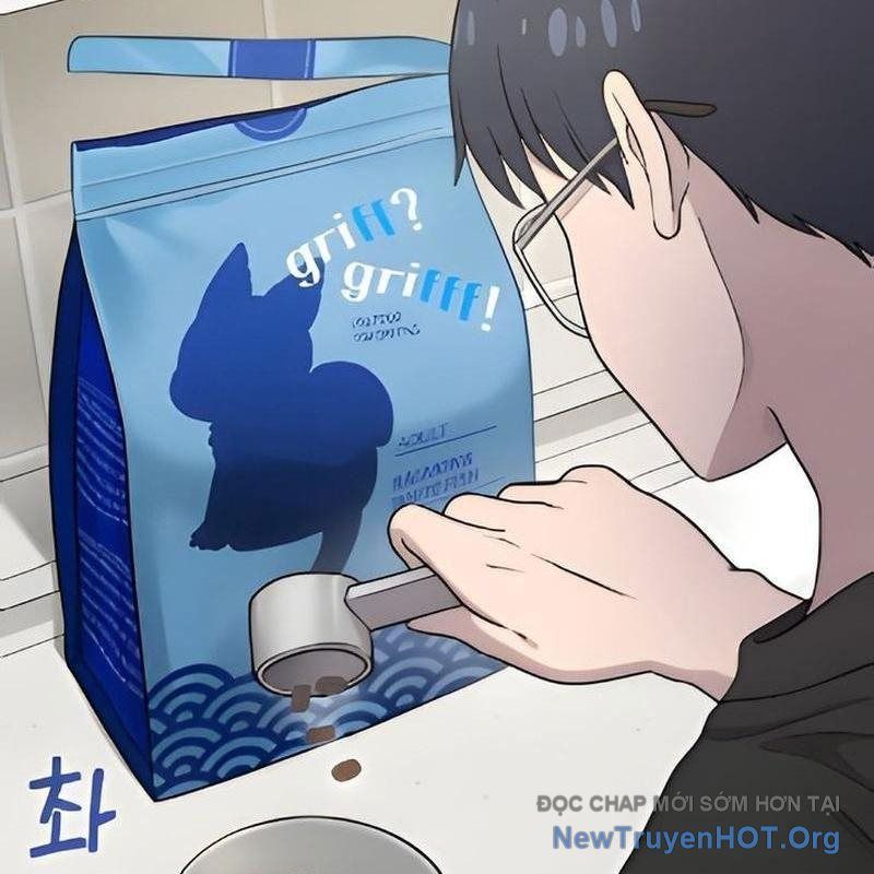 Chào Nhé, Griffin Mắt Tròn! Chap 2 - Next Chap 3