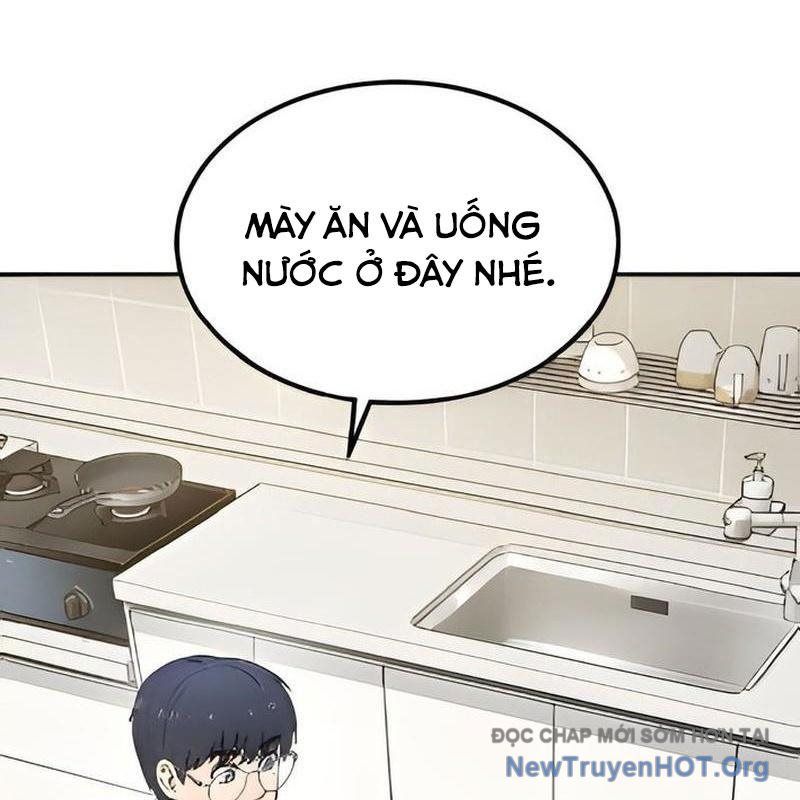 Chào Nhé, Griffin Mắt Tròn! Chap 2 - Next Chap 3
