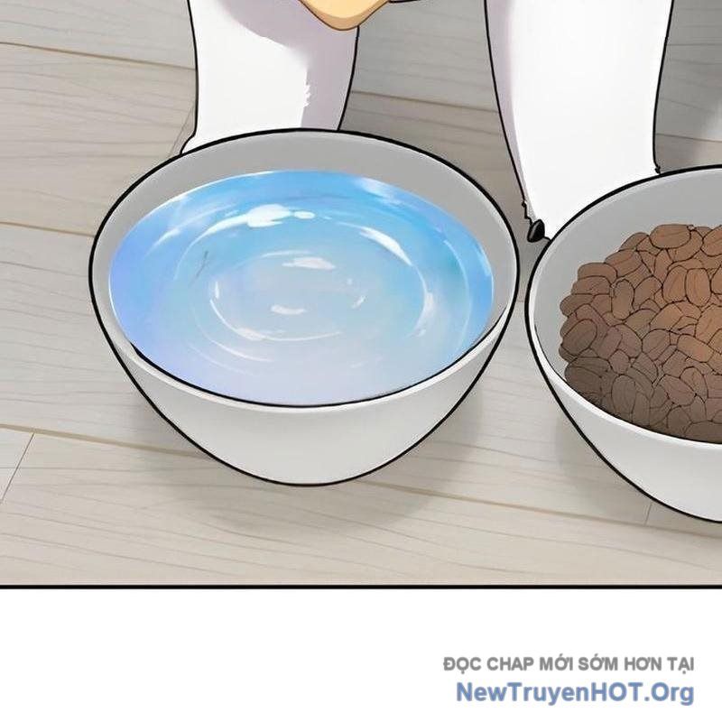 Chào Nhé, Griffin Mắt Tròn! Chap 2 - Next Chap 3