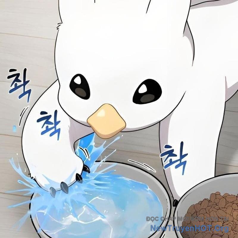 Chào Nhé, Griffin Mắt Tròn! Chap 2 - Next Chap 3
