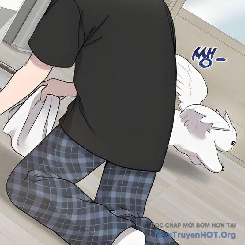Chào Nhé, Griffin Mắt Tròn! Chap 2 - Next Chap 3