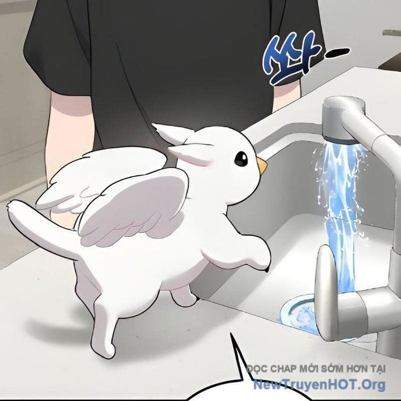 Chào Nhé, Griffin Mắt Tròn! Chap 2 - Next Chap 3