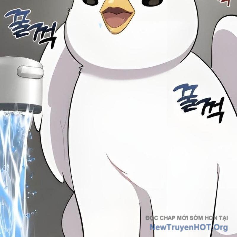Chào Nhé, Griffin Mắt Tròn! Chap 2 - Next Chap 3