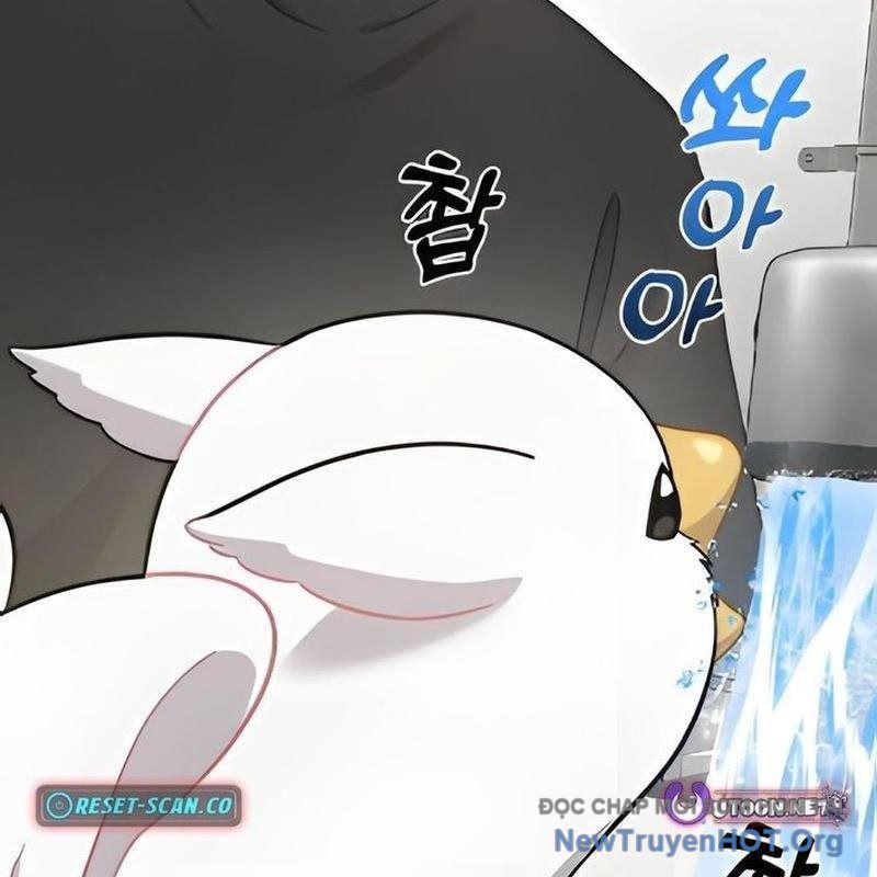 Chào Nhé, Griffin Mắt Tròn! Chap 2 - Next Chap 3