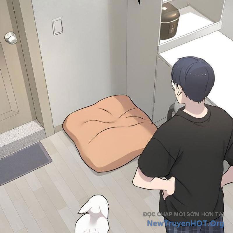 Chào Nhé, Griffin Mắt Tròn! Chap 2 - Next Chap 3
