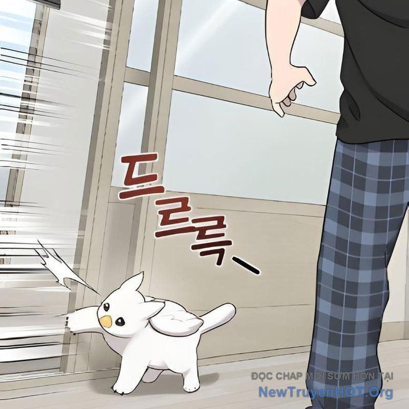 Chào Nhé, Griffin Mắt Tròn! Chap 2 - Next Chap 3