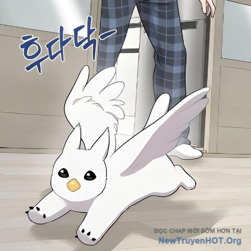 Chào Nhé, Griffin Mắt Tròn! Chap 2 - Next Chap 3