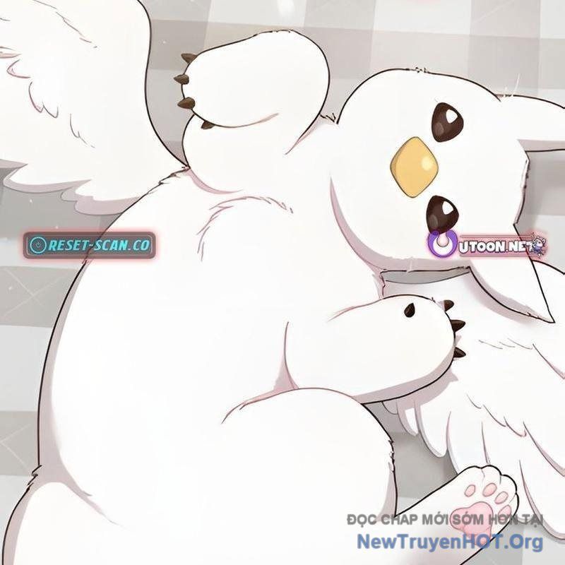 Chào Nhé, Griffin Mắt Tròn! Chap 2 - Next Chap 3