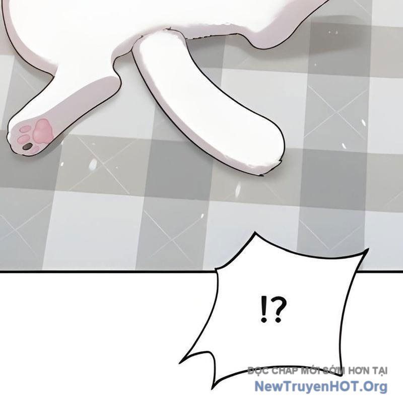 Chào Nhé, Griffin Mắt Tròn! Chap 2 - Next Chap 3