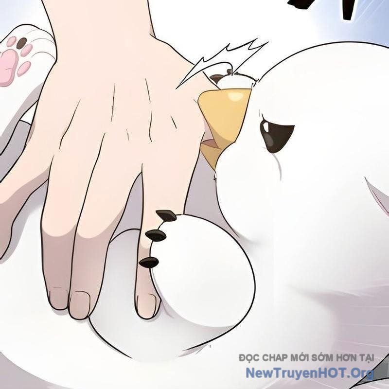 Chào Nhé, Griffin Mắt Tròn! Chap 2 - Next Chap 3