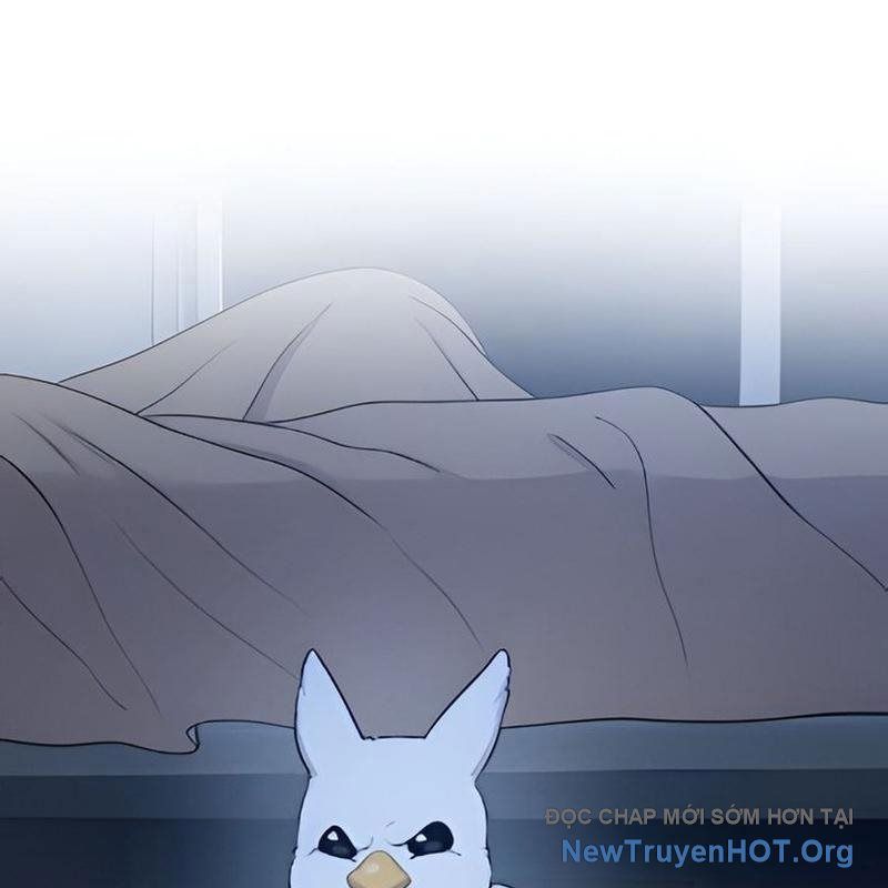 Chào Nhé, Griffin Mắt Tròn! Chap 2 - Next Chap 3