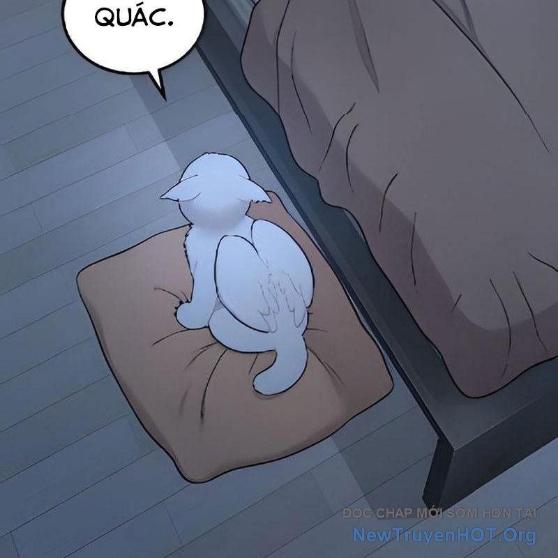 Chào Nhé, Griffin Mắt Tròn! Chap 2 - Next Chap 3