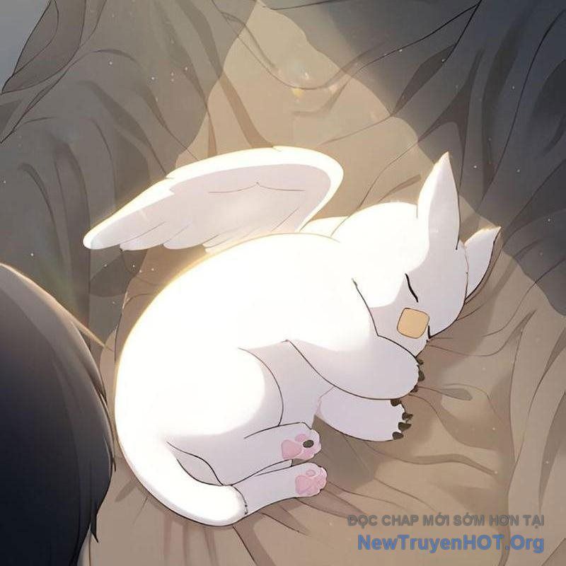 Chào Nhé, Griffin Mắt Tròn! Chap 2 - Next Chap 3