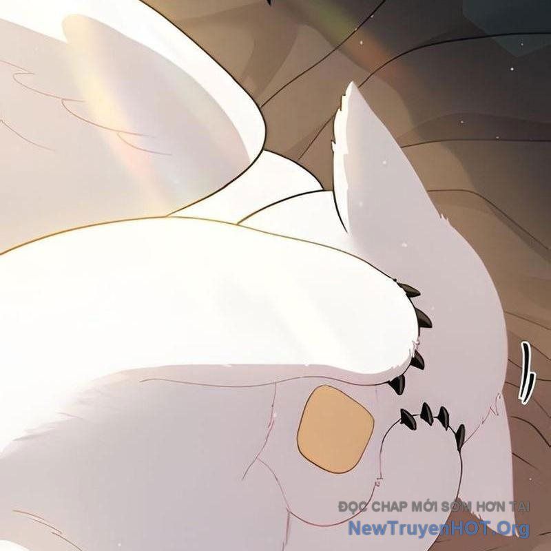 Chào Nhé, Griffin Mắt Tròn! Chap 2 - Next Chap 3