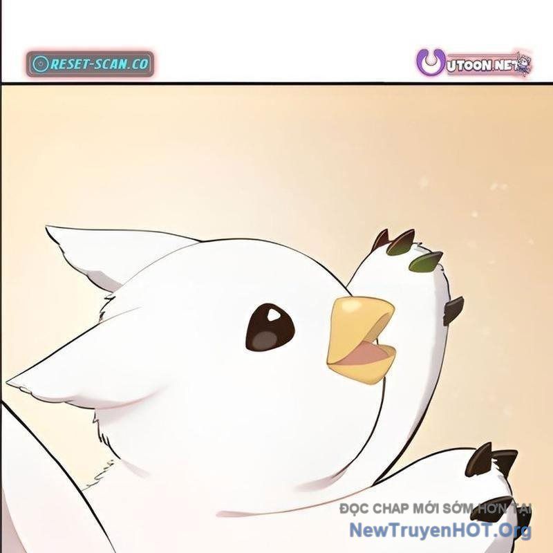 Chào Nhé, Griffin Mắt Tròn! Chap 2 - Next Chap 3