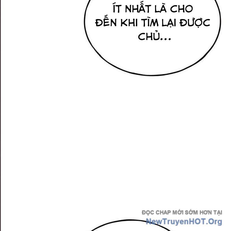 Chào Nhé, Griffin Mắt Tròn! Chap 2 - Next Chap 3